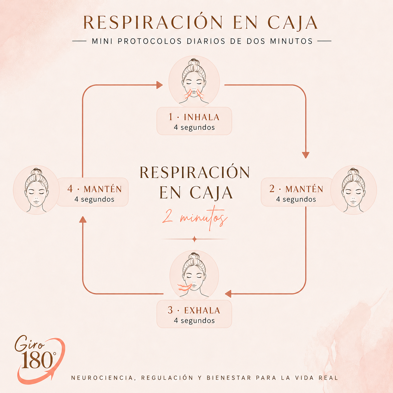 Gráfico de respiración en caja con cuatro fases de cuatro segundos